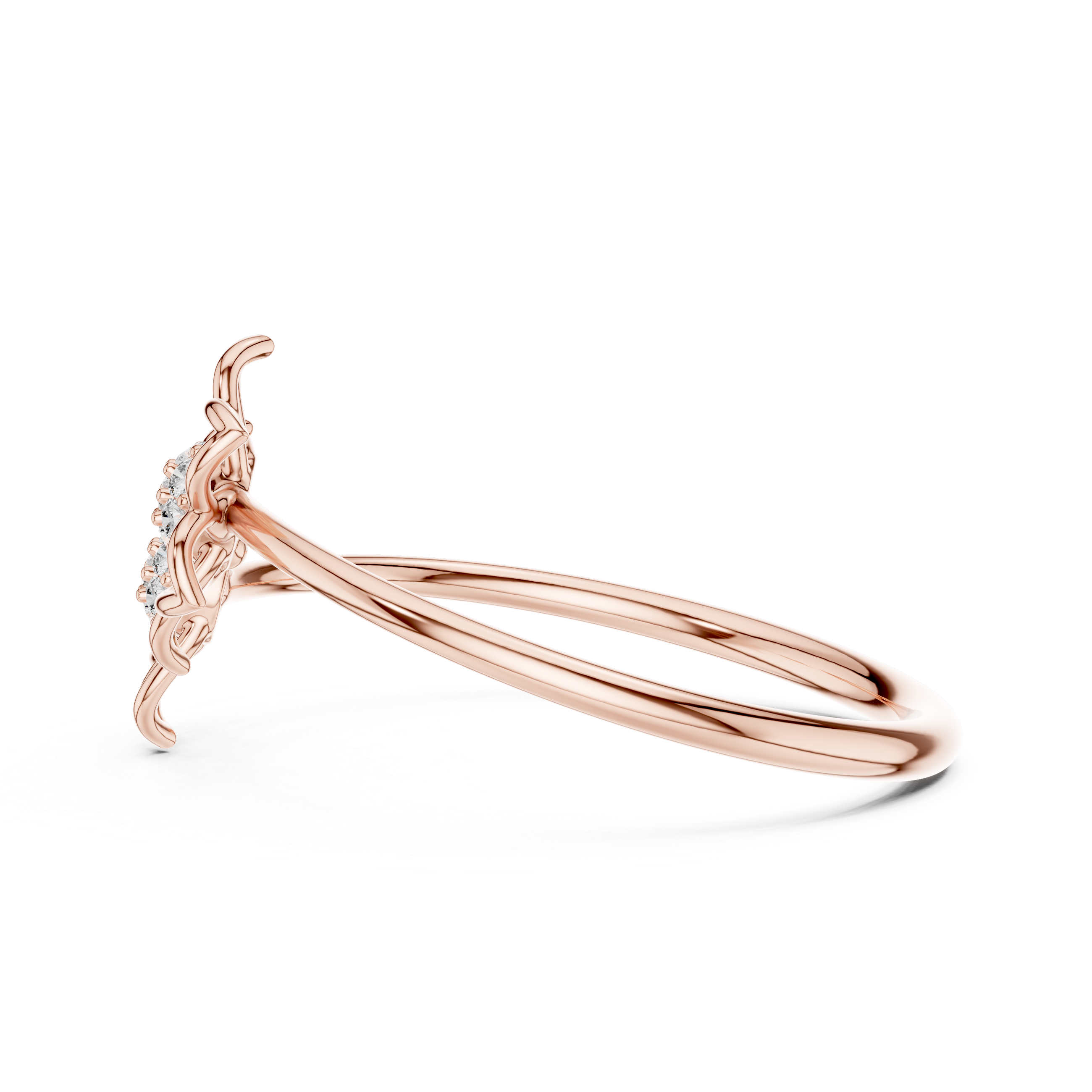 “Twin Blossoms: A Rose Gold Dance