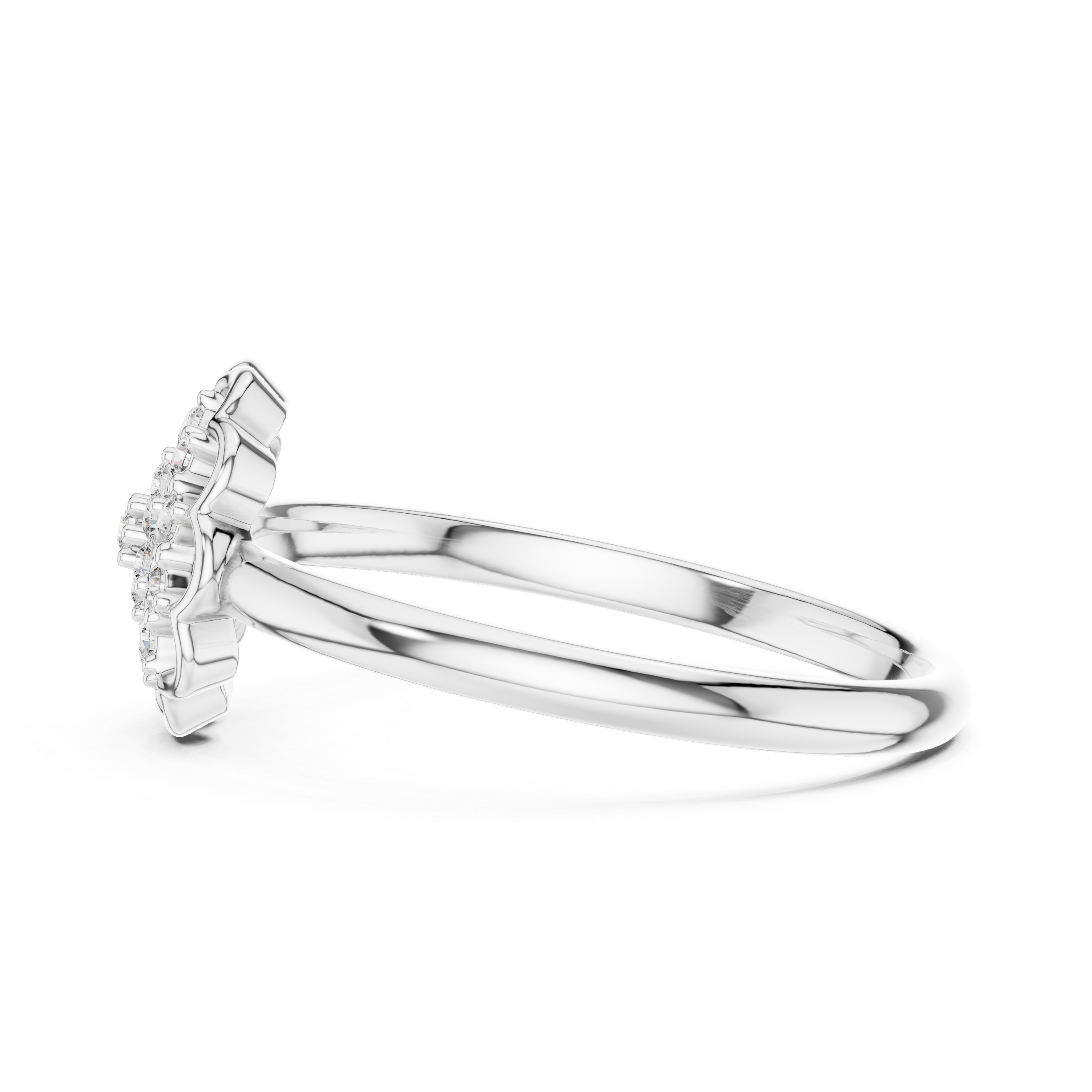 “Radiant Blossom: A Ring of Light”