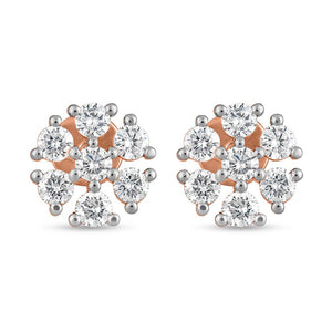 dazzling-dreamsacape-earrings-rose
