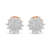 Enigma Elixir Earrings