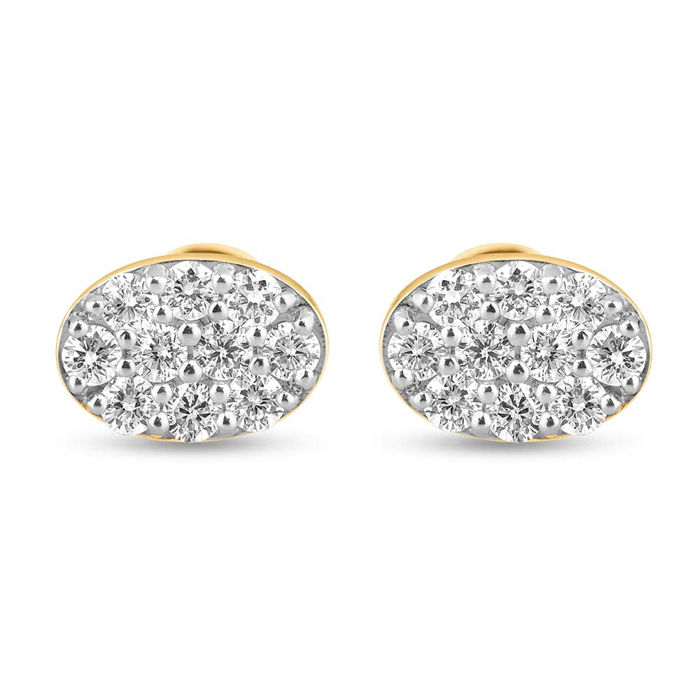Exquisite Euphony Earrings