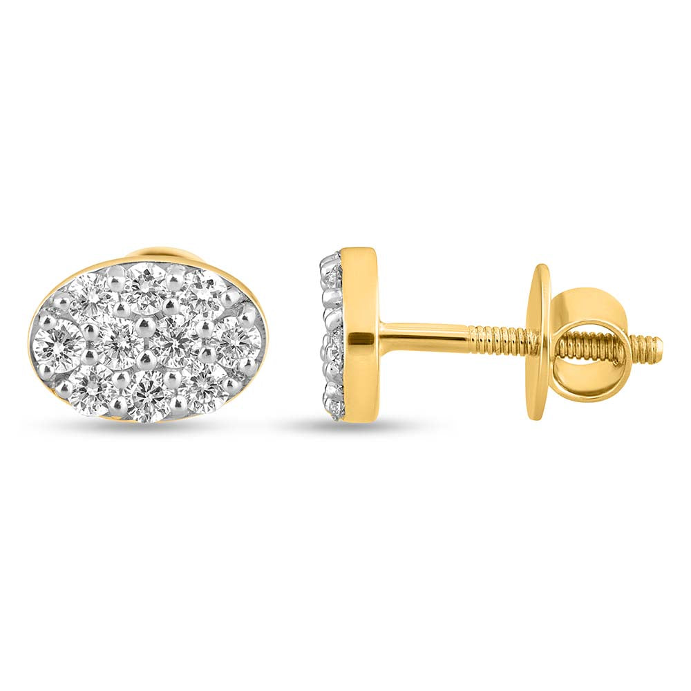 Exquisite Euphony Earrings