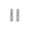 Regal Regalia Earrings