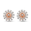 Ethereal Enchantment Earrings