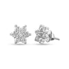 Shimmering Seascape Earrings