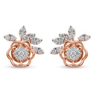 Sparkling Shoreline Earrings