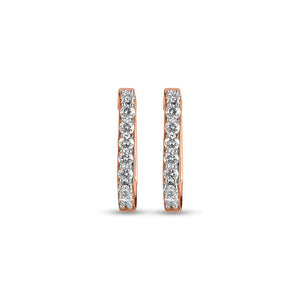 Twinkling Tundra Earrings