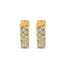 Glittering Grotto Earrings