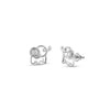 cuddly-elephant-charm-ear-studs-white